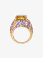7.21ct Lemon Quartz and Multi-coloured Ring