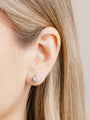 2.00ct (Total)  Diamond Stud Earrings