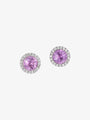 Pink Sapphire Halo Studs