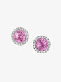 Pink Sapphire Halo Studs