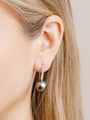 Tahitian Pearl Shepard Hook Earrings
