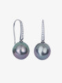Tahitian Pearl Shepard Hook Earrings