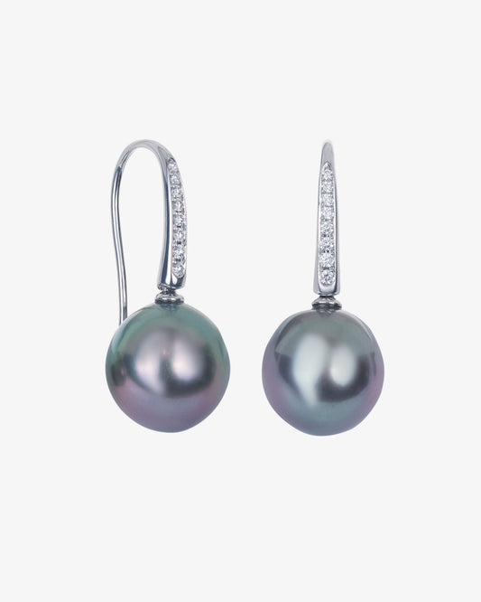 Tahitian Pearl Shepard Hook Earrings